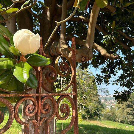 Domaine De La Tisnere Bed & Breakfast Gelos Luaran gambar